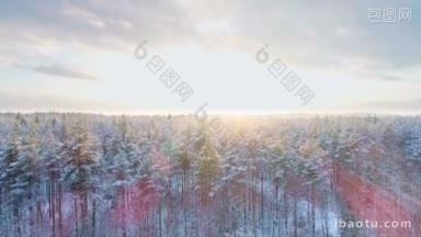 圣诞节期间，在<strong>北方</strong>国家的冬季森林上空飞行，森林被雪覆盖